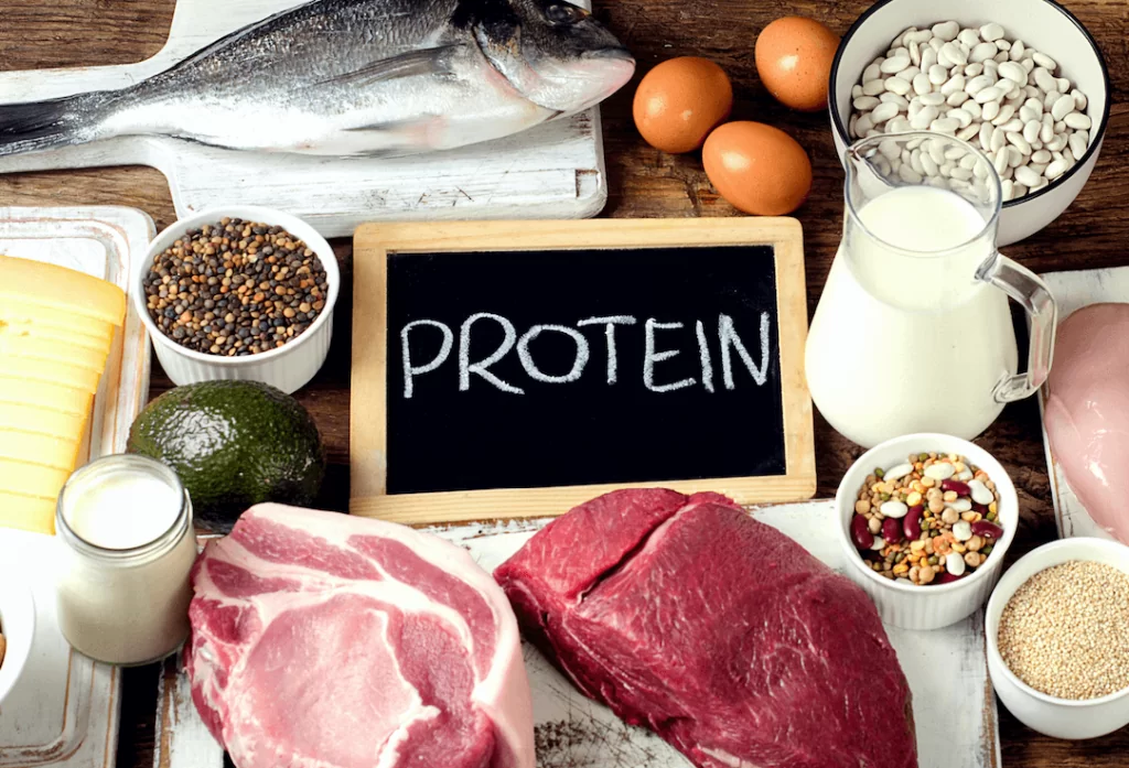 the-importance-of-high-quality-protein-and-how-it-can-benefit-you